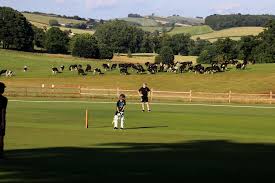 Image result for Sandyford Cricket Club