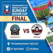 Image result for Harbertonford A F C