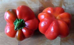 Afbeeldingsresultaat voor hungarian sweet apple sweet pepper