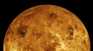 Image result for venus
