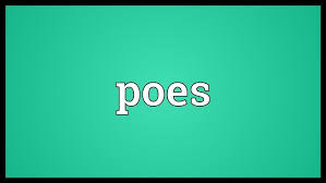 Image result for poes
