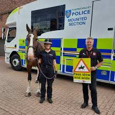 Image result for Abinger Forest Riding Club