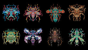 Attēlu rezultāti vaicājumam “Caenolyda reticulata”