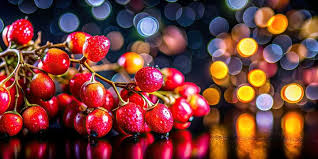 Attēlu rezultāti vaicājumam “Onobrychis arenaria fruit”