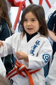 Image result for Inyo Karate Do Ninbukan