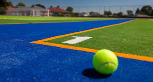 Image result for Astroturf