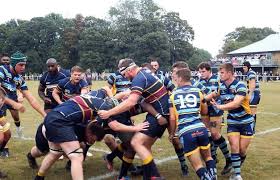 Image result for Colfeian Sports Club