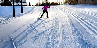 Image result for Manchester Cross Country Ski Club