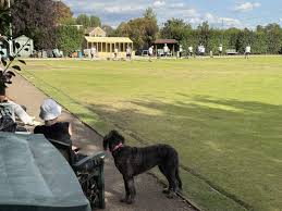 Image result for Sunbury Sports Bowls Club