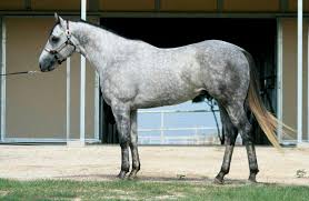 Image result for Bletchingly Badminton Club