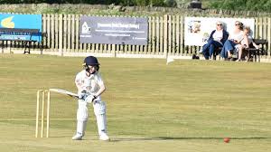 Image result for Friarmere Cricket Club