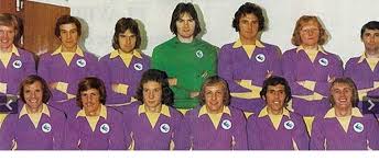 Image result for Ashford Tanners Handball Club