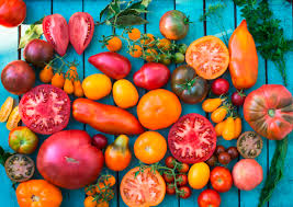 Bildergebnis für tomaten