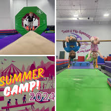 Image result for flip and twist