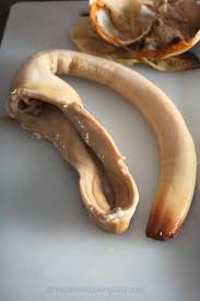 Image result for geoduck