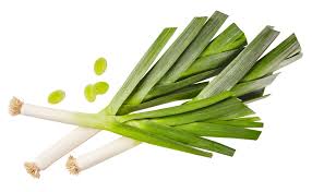 Image result for Porree