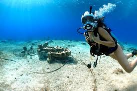 Image result for Exe To Sea Diving
