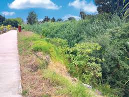 Image result for Calstock Smbc