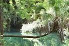 Palm River- Clai
r Mel FL Party ...