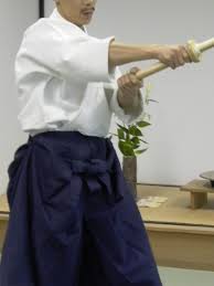Image result for Aikido - Shobu UK (Newton in furness)