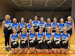 Image result for Greaves Ladies Netball Club