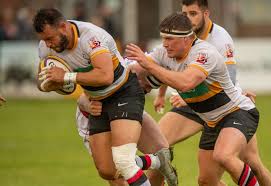 Image result for Stirling Wolves