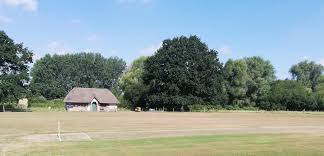 Image result for Buscot Park Cricket Club