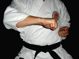 Image result for ZOKU SHOTOKAN KARATE (Baldock)