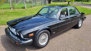 Image result for Cirrus Gray 1983 Jaguar