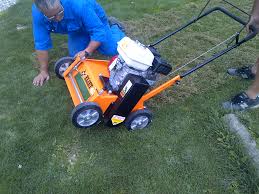 Image result for eliet tehron