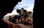 lion den New Mexico public - via Daymix