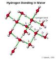 Hydrogen Bonds