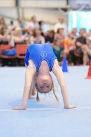 Image result for Pinewood Gymnastics Club
