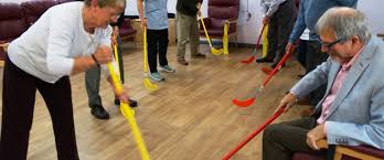 Image result for Swansea Bay Hockey Club