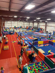 Image result for Fish trampoline and gymnastics club
