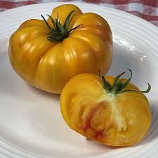 Afbeeldingsresultaat voor mortgage lifter bicolor strain tomato