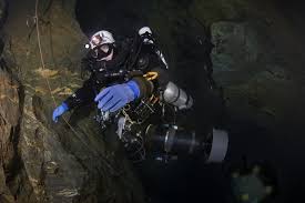 Image result for Headstream Divers
