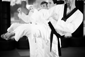 Image result for Abbey Fit Tae Kwon Do