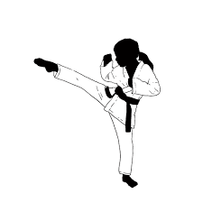 Image result for HEIWA SHOTOKAN KARATE CLUB