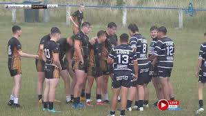 Image result for Gateshead Storm
