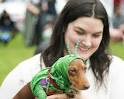 Atilla the dachshund doesn't