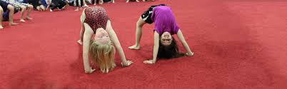 Image result for Redcar School Of Gymnastics