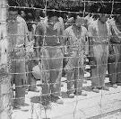 File:Japanese Prisoners of War at Guam - 15 August 1945.jpg ...