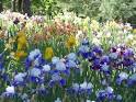 Garden and Channel 10 News - via Daymix