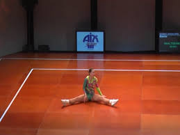 Image result for Greta Badminton Club