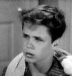 Tony Dow as Wally Cleaver Leave It To Beaver (1957-1963, CBS-TV, ABC-TV) - wally