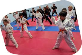 Image result for Martial Art Centre of Excellence