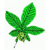 Image result for Arscott Golf Club