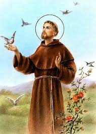 Image result for foto são francisco