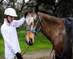 Image result for Riding For The Disabled Association